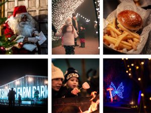 Festive family fun lights up Cotswolds Farm Park with sparkling Christmas activities