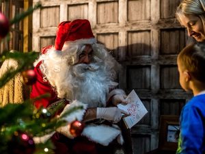 Get into the festive spirit with Cotswold Farm Park’s magical Christmas activities