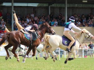 Exceptional equine programme announced for Royal Three Counties Show 2023