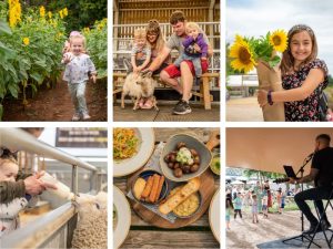 Seven fantastic ways to celebrate summer at Cotswold Farm Park as it unveils details of annual Flower Festival