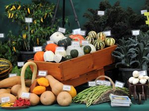 A spectacular showcase of large legumes, dazzling dahlias and fantastic florals at the UK’s biggest harvest celebration this September