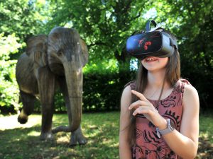 Witness Wildlife Like Never Before: Historic Castle Launches Pioneering New VR Experience on World Elephant Day