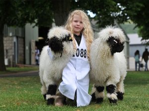 Top five unmissable highlights at this year’s Royal Three Counties Show in June