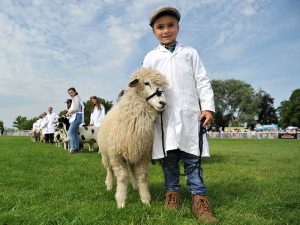 Royal Three Counties Show leads the way with innovations to drive agricultural success and 10 breed society national shows hosted throughout the 3 days.