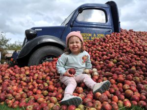 Save the date - Malvern Autumn Show returns 26 - 28 September 2025 with an autumnal extravaganza!