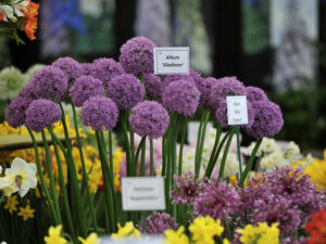 Brand-new features to debut this May at RHS Malvern Spring Festival 2026