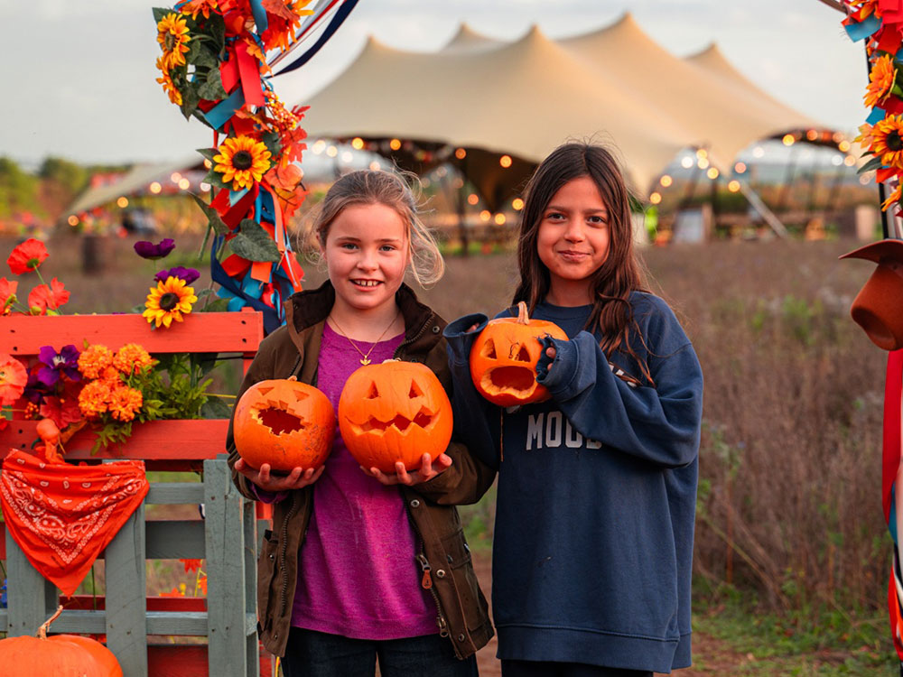 cotswold-farm-park-pumpkin-patch-2026-1